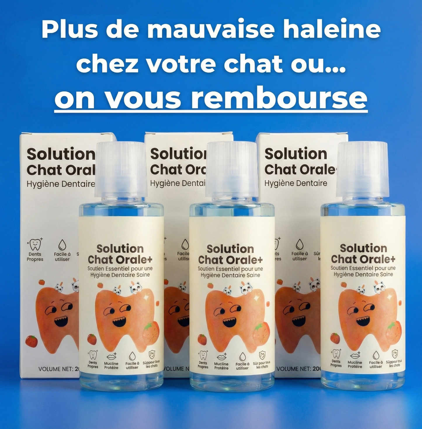 Orale+ - Solution Chat Hygiène Buccale