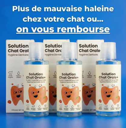 Orale+ - Solution Chat Hygiène Buccale