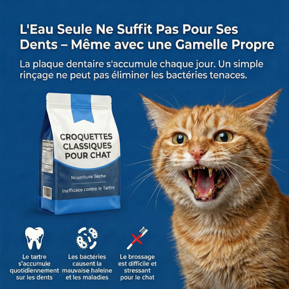 Orale+ - Solution Chat Hygiène Buccale