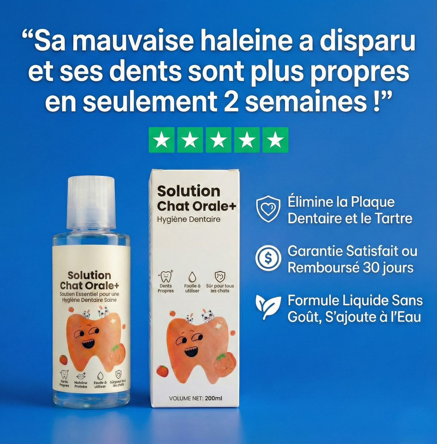 Orale+ - Solution Chat Hygiène Buccale