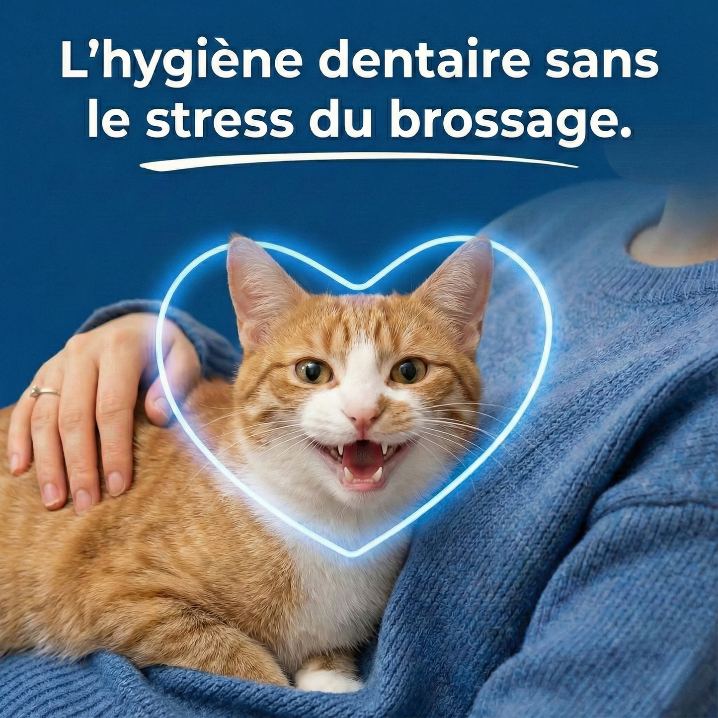 Orale+ - Solution Chat Hygiène Buccale