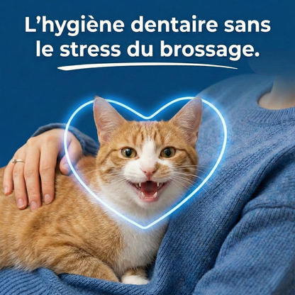 Orale+ - Solution Chat Hygiène Buccale